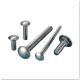 DIN603 Galvanised Steel Bolts , Exterior Carriage Hardened Carriage Bolts Chrome