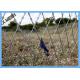 Ss430 Stainless Steel Razor Wire Cross Type Bto-22 Diameter 50cm