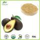 Supply Freeze Dried Avocado Powder With Low Price