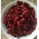 Dark Red Color Canning Fresh Vegetables , Canned Kidney Beans In Brine