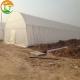 Plastic Shed Winter Tomato Greenhouse for Crops Width Defined by Area