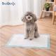 High Absorbability 900X600 Disposable Dog Pee Pads Stocked for Puppy Training 600X350