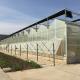 4m Section Polycarbonate Greenhouse for Vegetable Fruits and Flowers Commercial