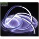 super bright square 240v 16*16m neon flexible led light color RGB