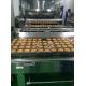 PLC Control 1000kg/H Bakery Production Line Equipment For Sweet Bun