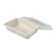 Disposable Biodegradable Freezer Containers , 1250ml Take Away Box For Food Packaging