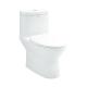 Ceramic Bathroom One Piece Toilets , Washdown Flushing 1 Piece Wc