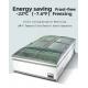 Direct Cooling System Commercial Display Freezer With -18--22°C Temperature And 630L Volume