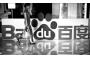 Baidu shares drop on mild growth forecast