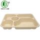 Degradable Biodegradable Food Trays 5 Compartments Bagasse Paper Pulp Moulded