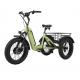 48V500W Brushless Geared Motor Black Electric Fat Bicycle with Front And Rear Disc Brakes