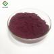 Pharmaceutical Vitamin A Natural Pigment Powder From Black Carrot