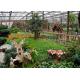 Small Size Double Wall Greenhouse Single Span Agricultural Greenhouse