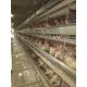 Poultry Farm Layer Chicken Cage / Full Automatic Chicken Raising Equipment