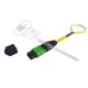 Single Mode G657A2 MTP MPO Patch Cable Green Black Housing Color