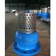 Customized Service WCB Cast Iron Flanged End Foot Valve for Durable and Fluid Control