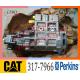 317-7966 Diesel Engine Fuel Injection Pump 426-4806 324-8021 352-6584 324-0532 For Caterpillar CAT C6.6