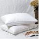 Duck Feather and Down Filling Down Feather Pillow Luxurious and Hypoallergenic