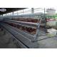 Durable Poultry Chicken Cages , Automated Poultry Cages CE Certification