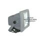 Induction Flood Lighting Fixture LCL-PL003