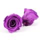 Colorful Allergy Friendly A Grade 5-6cm Preserved Rose Heads