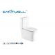 Two Piece Close Coupled Toilet Modern Ceramic Toilet With P Trap For Bathroom