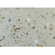 Shell quartz countertops, stone wall, round coffee table,dining table,stone tile, wall, bathroom vanities