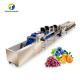 Circulating Hole Fruit Processing Line ,  Tengsheng Roller Conveying Vegetable Processing Line