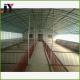 ISO9001/SGS Certified Steel Structure Goat Farming Cow Shed with and Steel Column
