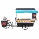 V Brake Outdoor Mobile Food Tricycle BBQ Vending Cart