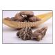 Dried mushroom, ediable mushroom , Dried Agaricus campestris,Dried Shiitake Mushroom