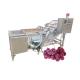 Factory Price Air Bubble Food Cleaning Fruit Washing Vegetable Blanching Machine