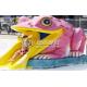 Frog Type Small Water Slides