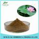 Chinese Herb Medicine Loss Weight Product Lotus Leaf Extract Powder