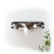 Wall-Mounted Cat Climbing Bracket Individual Shelf for Active and Entertained Felines