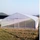 Easy Installation Garden Greenhouses With 3-5 Years Lifespan