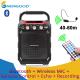 Remote Control Echo Recorder Amplifier Sound Speaker FM Radio Professional Audio