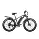 High Power 26 Inch 48V 1000W Fat Tyre Electric Bike With 14Ah - 17Ah Lithium Battery