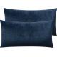 NTBAY 2 Pack Zippered Velvet King Pillowcases, Super Soft and Cozy Luxury Fuzzy Flannel Pillow Cases with Zipper, 20x36