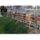 1.6m Cattle Yard Panel , White Livestock Metal Fence Panels