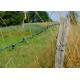 Rust Resistance Double Strand Traditional Twist Barbed Wire Fence