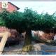 UVG china home decor wholesale green banyan large artificial tree for play center landscaping GRE055