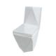 Dual Flush Elongated One Piece Toilet Washdown With Soft-Closing Seat
