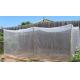 Silver Grey 45gsm Insect Proof Garden Netting 0.6 * 0.6mm Odorless For Small Shed
