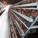 Layer Farming Equipment Battery Automatic Poultry Cages System for Kenya Farms