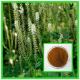 100% Natural Black Cohosh Plant Extract/Black Cohosh Root Extract/Black Cohosh Powder