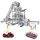 Clamshell Fresh Fruit Vegetable Packing Machine Kale Spinach Cherries Strawberry Tray Packing Machine