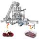 Fruit Multihead Weighing And Packaging Machine Cherry Linear Filling Production Line