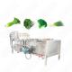 Customized Leaf Vegetable Washing Machine Big Size