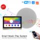 Tuya Smart Home Security Background Music System Wall Amplifier Central Control Panel